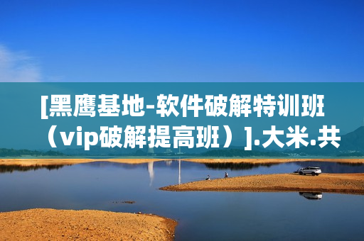 [黑鹰基地-软件破解特训班（vip破解提高班）].大米.共66讲.iso