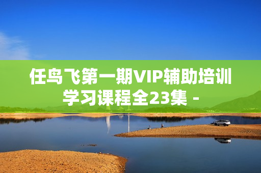 任鸟飞第一期VIP辅助培训学习课程全23集 -