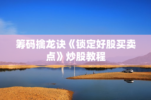 筹码擒龙诀《锁定好股买卖点》炒股教程