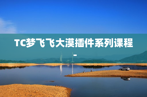 TC梦飞飞大漠插件系列课程 -