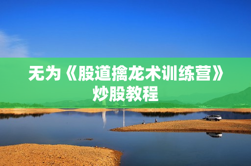 无为《股道擒龙术训练营》炒股教程