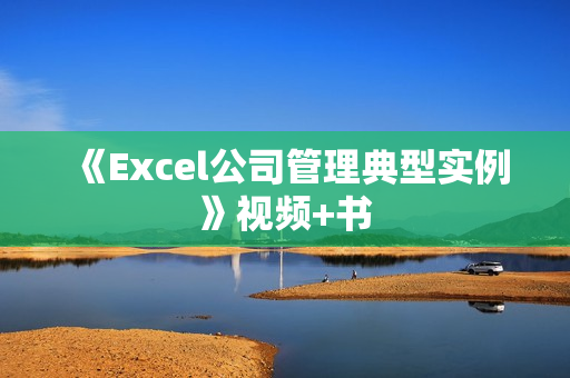 《Excel公司管理典型实例》视频+书