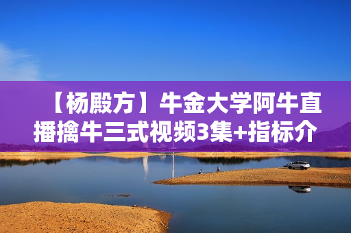 【杨殿方】牛金大学阿牛直播擒牛三式视频3集+指标介绍