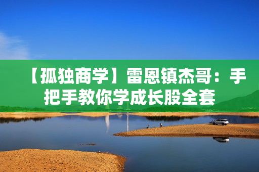 【孤独商学】雷恩镇杰哥：手把手教你学成长股全套