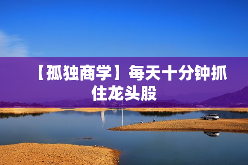 【孤独商学】每天十分钟抓住龙头股