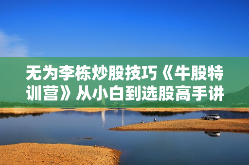 无为李栋炒股技巧《牛股特训营》从小白到选股高手讲座视频