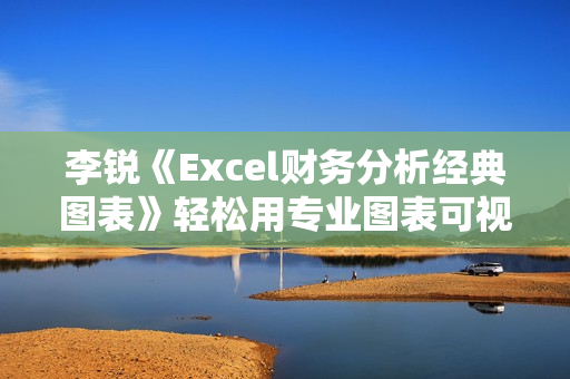 李锐《Excel财务分析经典图表》轻松用专业图表可视化数据分析