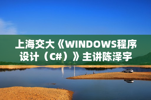 上海交大《WINDOWS程序设计（C#）》主讲陈泽宇