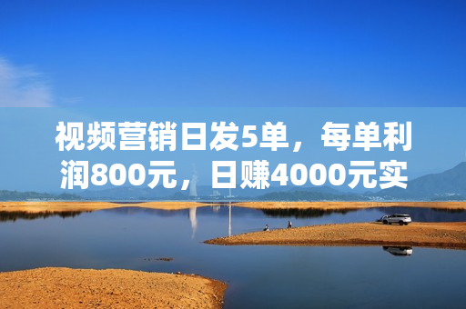 视频营销日发5单，每单利润800元，日赚4000元实战课程无水印（共5节课程）