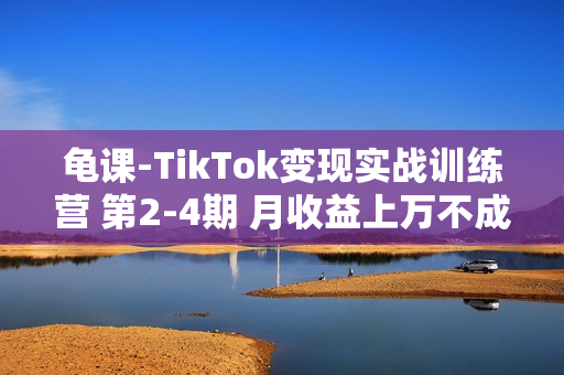 龟课-TikTok变现实战训练营 第2-4期 月收益上万不成问题