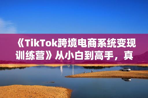 《TikTok跨境电商系统变现训练营》从小白到高手，真正的电商实操课