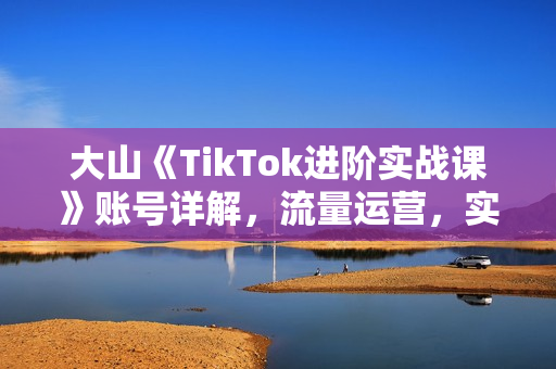 大山《TikTok进阶实战课》账号详解，流量运营，实战变现