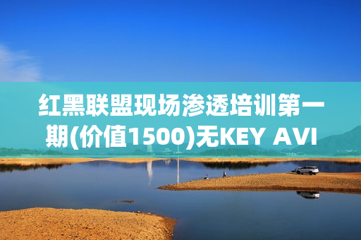 红黑联盟现场渗透培训第一期(价值1500)无KEY AVI版本