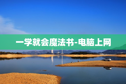 一学就会魔法书-电脑上网