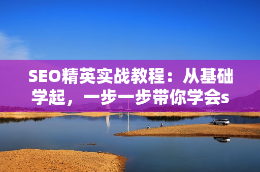 SEO精英实战教程：从基础学起，一步一步带你学会seo（全套12节课）