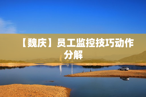 【魏庆】员工监控技巧动作分解
