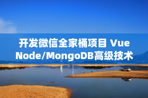 开发微信全家桶项目 VueNode/MongoDB高级技术栈全覆盖价值448元