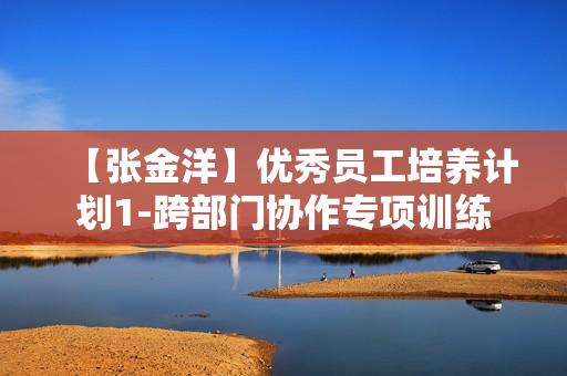 【张金洋】优秀员工培养计划1-跨部门协作专项训练