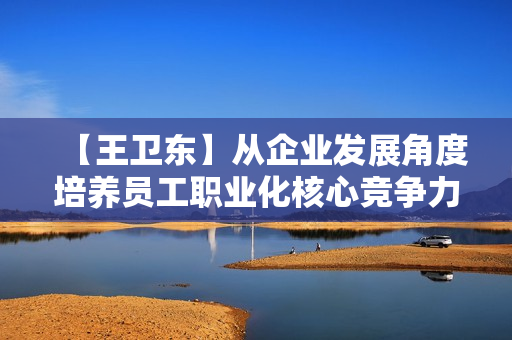【王卫东】从企业发展角度培养员工职业化核心竞争力