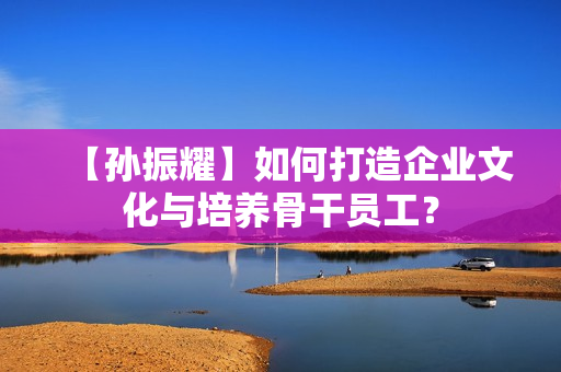 【孙振耀】如何打造企业文化与培养骨干员工？