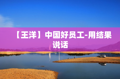 【王洋】中国好员工-用结果说话