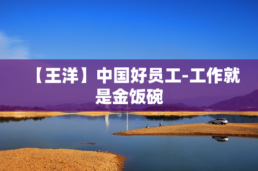 【王洋】中国好员工-工作就是金饭碗