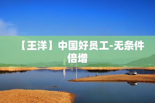 【王洋】中国好员工-无条件倍增
