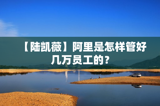 【陆凯薇】阿里是怎样管好几万员工的？