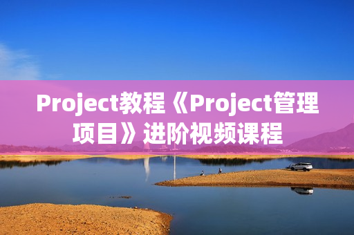 Project教程《Project管理项目》进阶视频课程