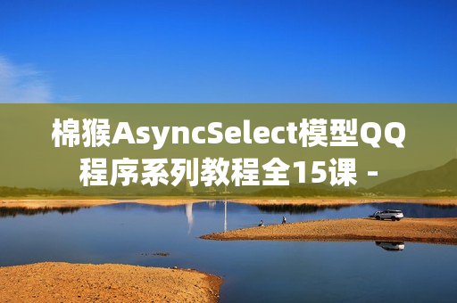 棉猴AsyncSelect模型QQ程序系列教程全15课 -