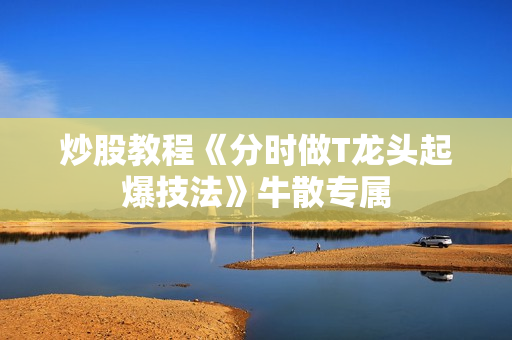 炒股教程《分时做T龙头起爆技法》牛散专属