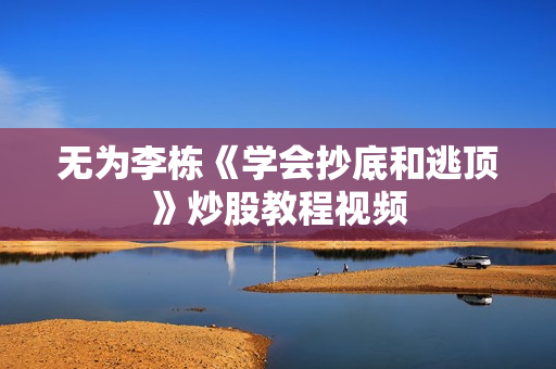 无为李栋《学会抄底和逃顶》炒股教程视频