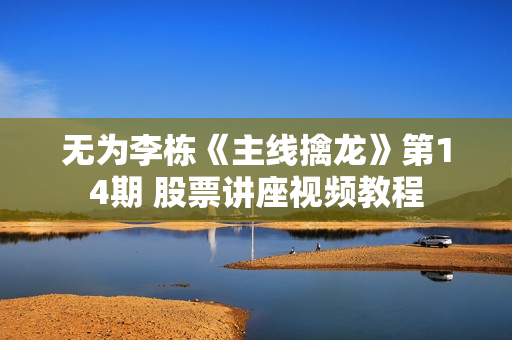 无为李栋《主线擒龙》第14期 股票讲座视频教程