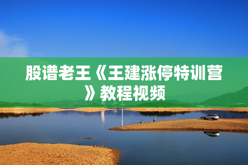 股谱老王《王建涨停特训营》教程视频
