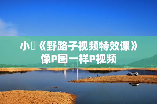 小芃《野路子视频特效课》像P图一样P视频