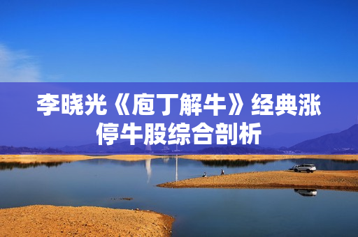 李晓光《庖丁解牛》经典涨停牛股综合剖析