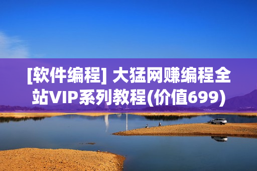 [软件编程] 大猛网赚编程全站VIP系列教程(价值699)[无KEY]