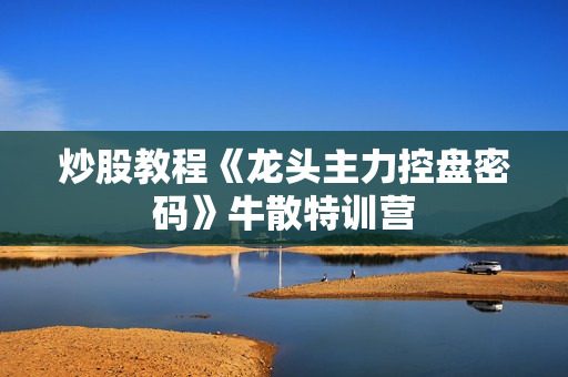 炒股教程《龙头主力控盘密码》牛散特训营