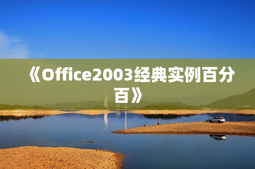 《Office2003经典实例百分百》