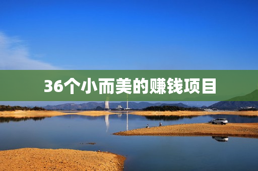 36个小而美的赚钱项目