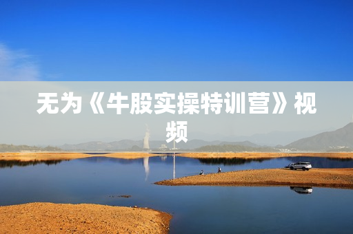 无为《牛股实操特训营》视频
