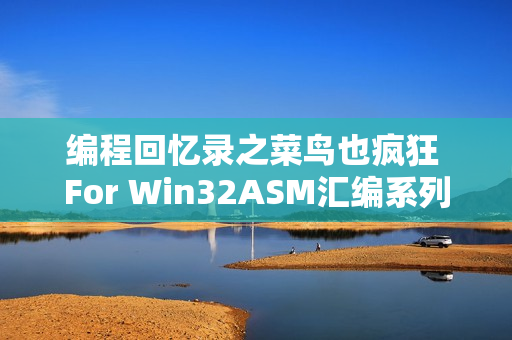编程回忆录之菜鸟也疯狂 For Win32ASM汇编系列学习教程全80课