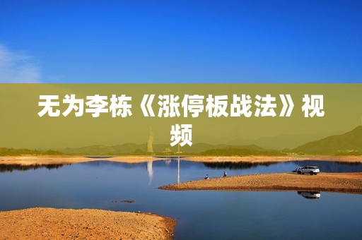 无为李栋《涨停板战法》视频