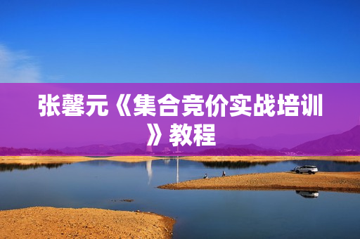 张馨元《集合竞价实战培训》教程