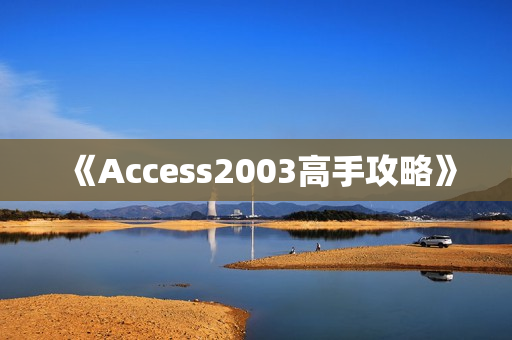 《Access2003高手攻略》