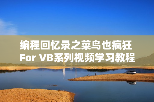 编程回忆录之菜鸟也疯狂 For VB系列视频学习教程