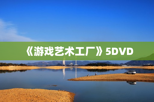 《游戏艺术工厂》5DVD