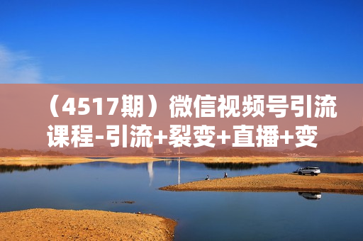 （4517期）微信视频号引流课程-引流+裂变+直播+变现，获取红利，把握短视频超级流量风口