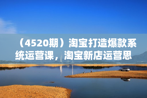 （4520期）淘宝打造爆款系统运营课，淘宝新店运营思路，快速打造爆款