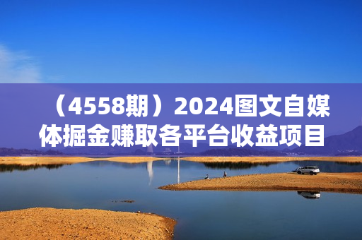 （4558期）2024图文自媒体掘金赚取各平台收益项目，长期正规稳定